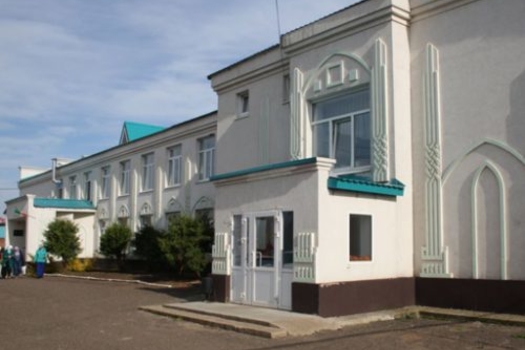 Татарча укытмаган авылларга килмешәкләр килеп тула башлады