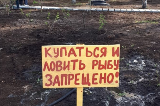 Әллә коенганнармы?
