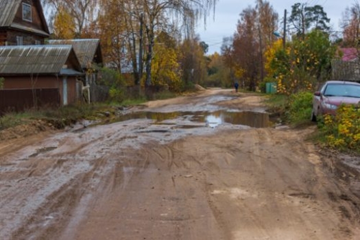 Юлларның без күрдек төрлесен