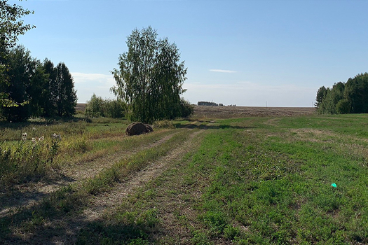 Күчми калган Күчтем