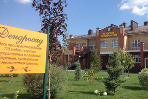 Татарча Эбру