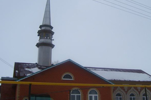 Аракы урынына тимераяк