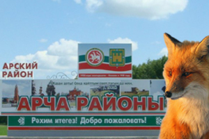 Арчада котырган төлке гаскәре