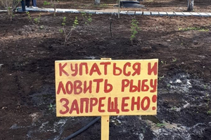 Әллә коенганнармы?